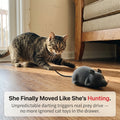 Remote Control Robot Mouse