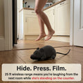 Remote Control Robot Mouse