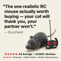 Remote Control Robot Mouse
