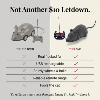 Remote Control Robot Mouse
