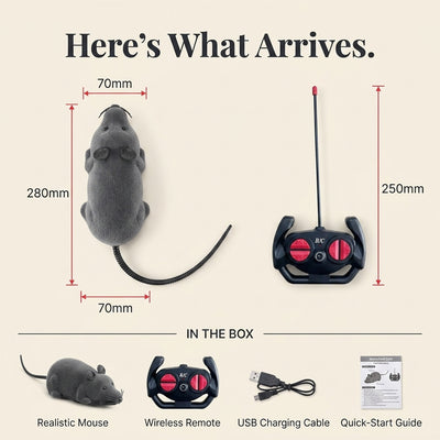 Remote Control Robot Mouse