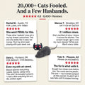 Remote Control Robot Mouse