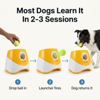 Dog Ball Launcher