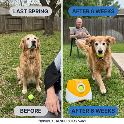 Dog Ball Launcher