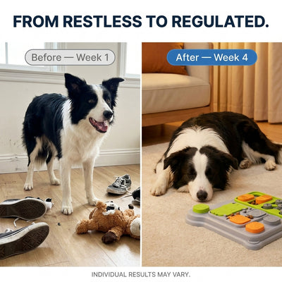 Dog Puzzle Toy Feeder