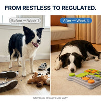 Dog Puzzle Toy Feeder
