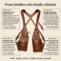 Ventra™ Anti-theft Harness