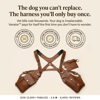 Ventra™ Anti-theft Harness