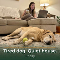 Automatic Dog Ball Launcher