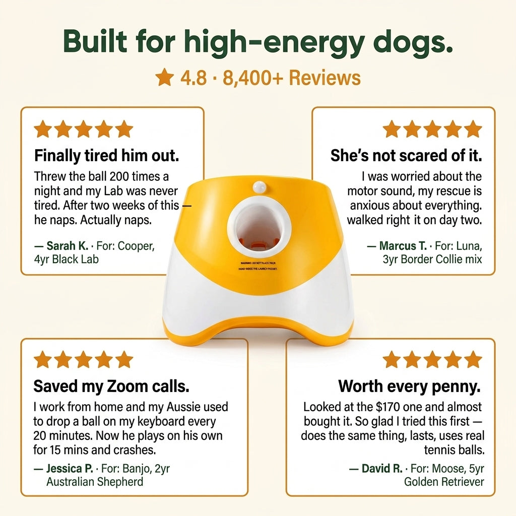Automatic Dog Ball Launcher