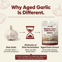 Aged Garlic Extract - 7500mg Odorless Softgels
