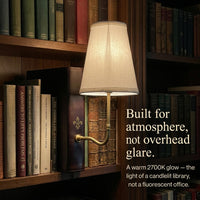Luxurious Vintage Library Lamp