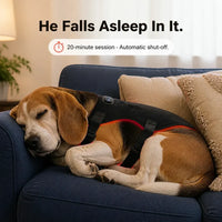 Ventra - Red Light Therapy Vest for Pets