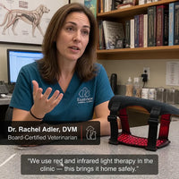 Ventra - Red Light Therapy Vest for Pets