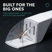 Ventra™ Zencatcher