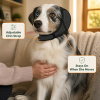 Premium Dog Cancelling Headphones