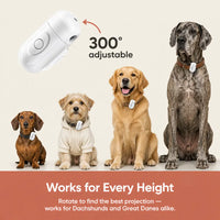 Custom Pet Projector Light