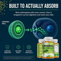 Liposomal Sulforaphane 450mg