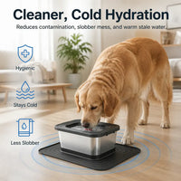 Ventra - Germ-Free Pet Bowl