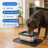 Ventra - Germ-Free Pet Bowl