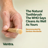 Natural Miswak Whitening Stick