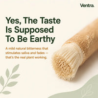 Natural Miswak Whitening Stick