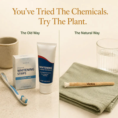 Natural Miswak Whitening Stick
