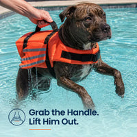 Ventra™ - Premium Dog Life Jacket 2