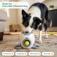 FetchBot 2-in-1 - Ball Launcher & Treat Machine