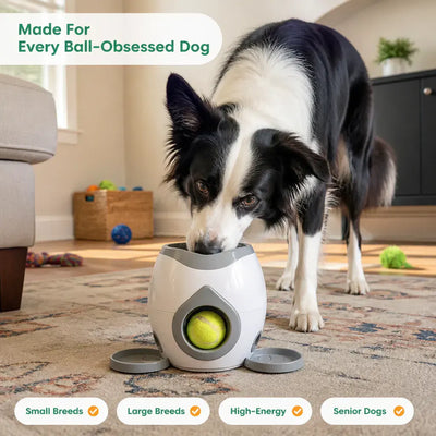 FetchBot 2-in-1 - Ball Launcher & Treat Machine