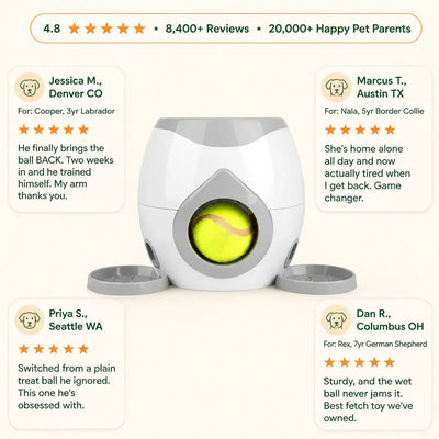 FetchBot 2-in-1 - Ball Launcher & Treat Machine