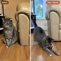 PawFile - Self-Filing Cat Nail Toy