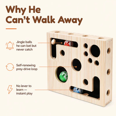 PawFile - Self-Filing Cat Nail Toy