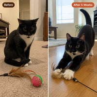 PawFile - Self-Filing Cat Nail Toy
