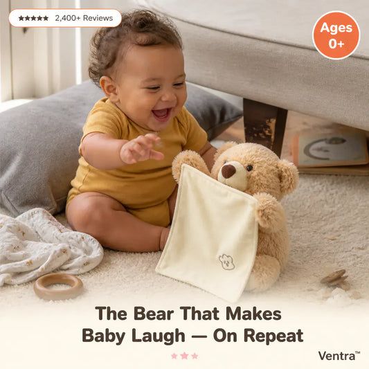 The Peek-a-Boo Bear - Talking Plush Toy