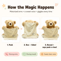 The Peek-a-Boo Bear - Talking Plush Toy