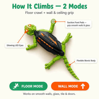 GeckoGo - Wall-Climbing RC Gecko
