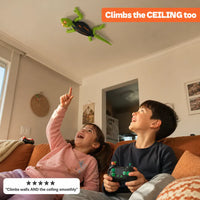 GeckoGo - Wall-Climbing RC Gecko
