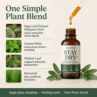 Stay Dry - Anti-Sweat Sage & Salvia Drops