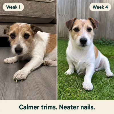 PawTrim 2-in-1 - LED Pet Nail Trimmer