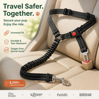SafeRide - Bungee Dog Car Seat Belt