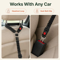 SafeRide - Bungee Dog Car Seat Belt