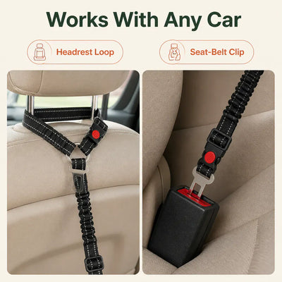 SafeRide - Bungee Dog Car Seat Belt