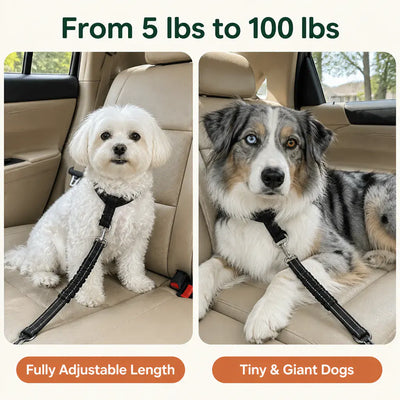 SafeRide - Bungee Dog Car Seat Belt