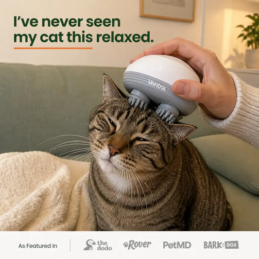 PurrSpa - Electric Cat Head Massager