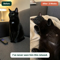 PurrSpa - Electric Cat Head Massager