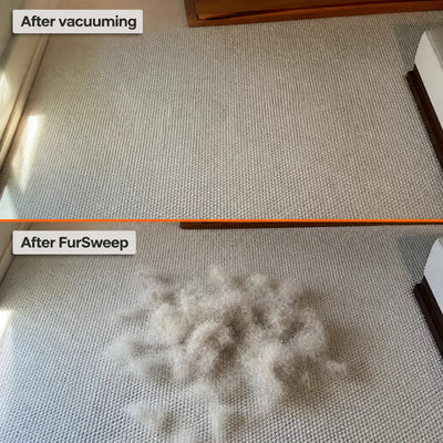 FurSweep - The Ultimate Pet Hair Broom