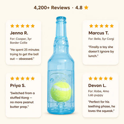 BrewChew - Squeaky Beer Bottle Dog Toy