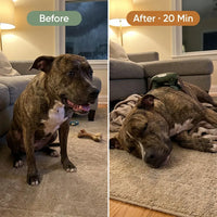 PawTherapy - 4D Shiatsu Dog Massager