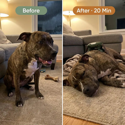 PawTherapy - 4D Shiatsu Dog Massager